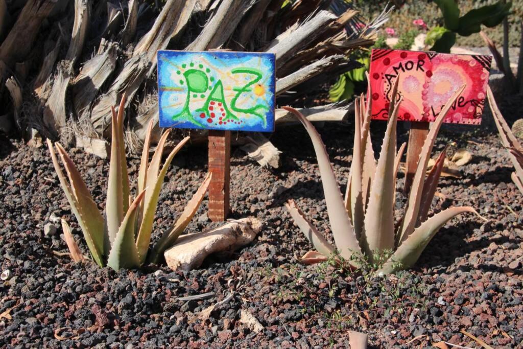 Casa Madre Tierra Lejlighed La Pared  Eksteriør billede