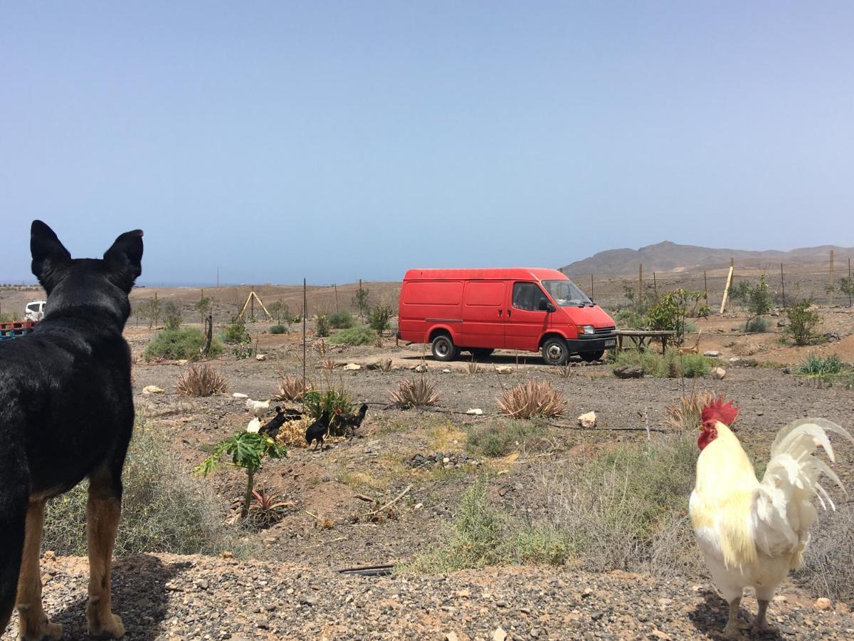 Casa Madre Tierra Lejlighed La Pared  Eksteriør billede